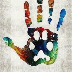 Meet your Posher, Paula